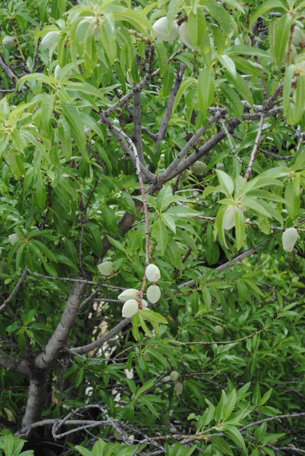 Natura Lägenhet Makarska