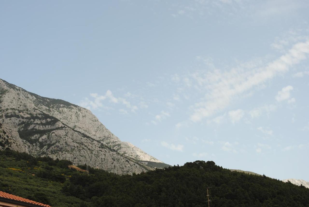 Natura * Makarska