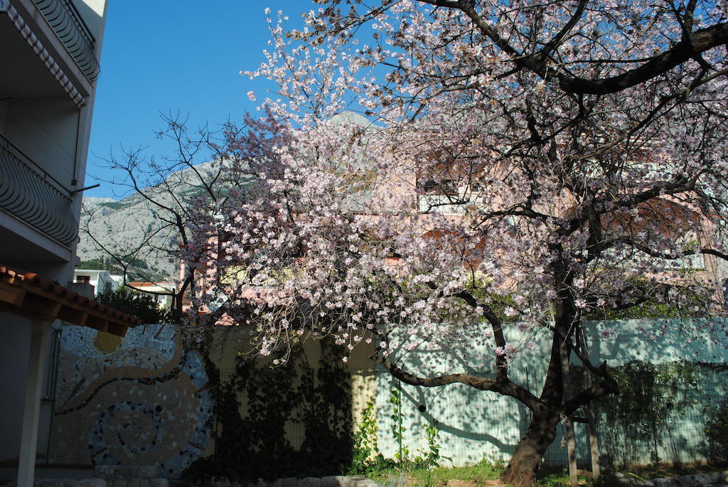 Natura Makarska