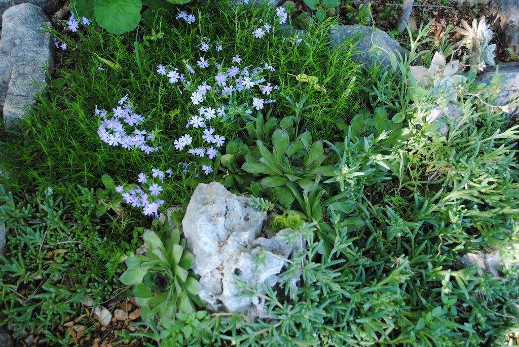 Lägenhet Natura Makarska
