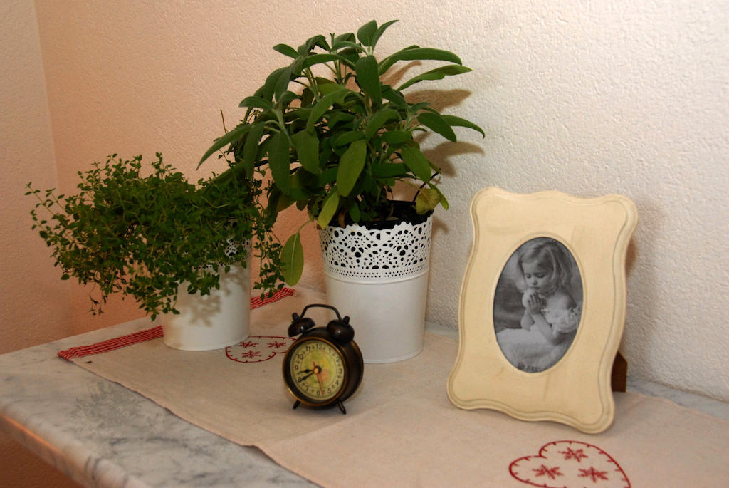 Natura Makarska